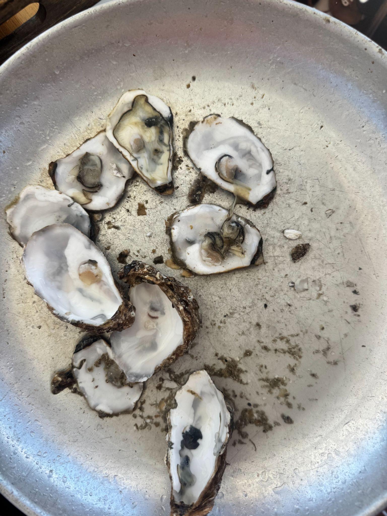 Freshly shucked oysters resting in the pan
